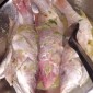 Marinade pour poisson à l&#039;haitienne